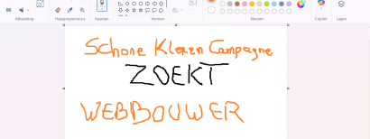 Schone Kleren Campagne zoekt webbouwer 